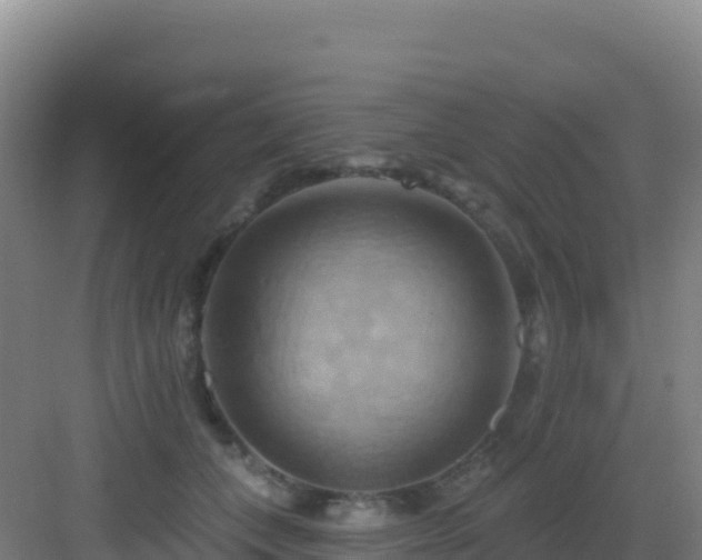 X0000083040559200702091412