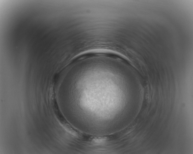 X0000083040560200702091412