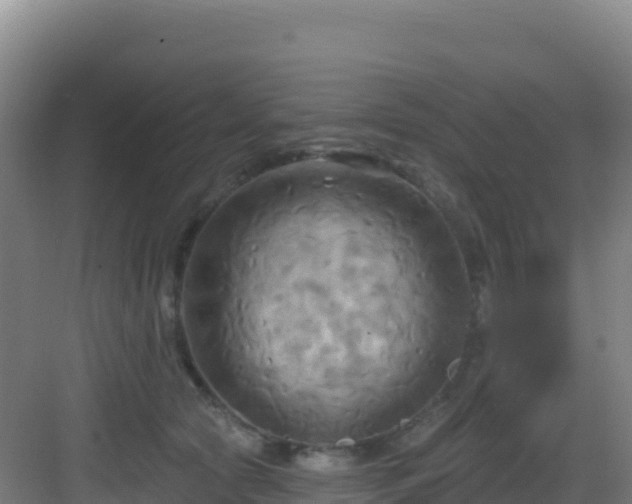 X0000083040561200702091412