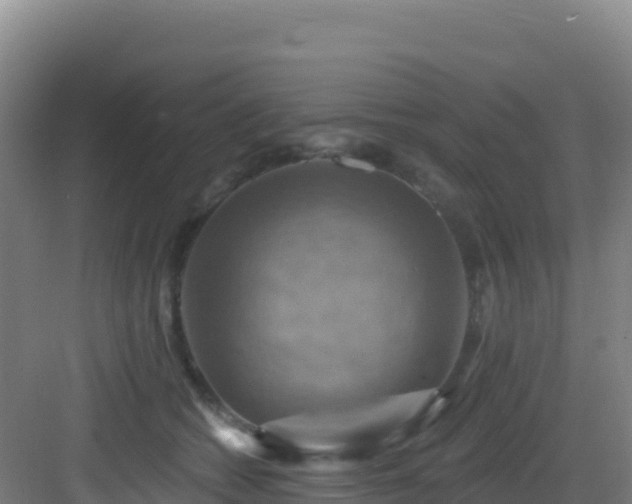 X0000083040562200702091412