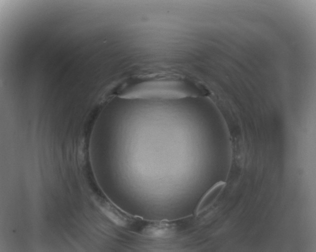 X0000083040563200702091412