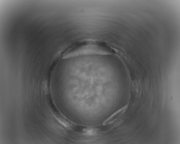 X0000083040564200702091412