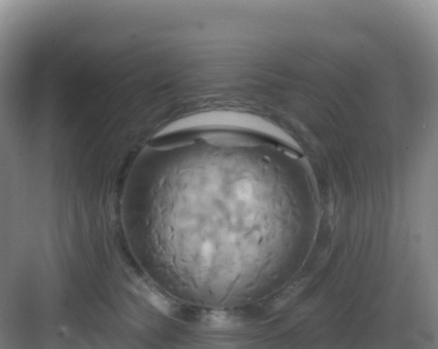 X0000083040565200702091412