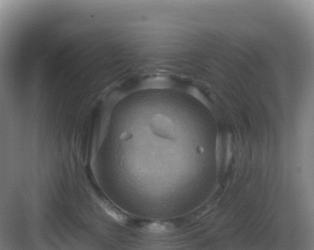 X0000083040566200702091412