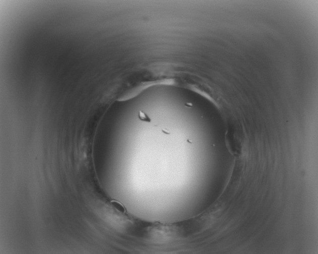 X0000083040567200702091412