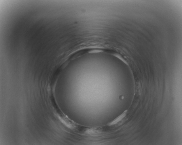 X0000083040568200702091412