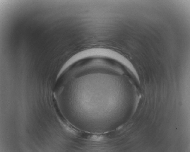 X0000083040570200702091412