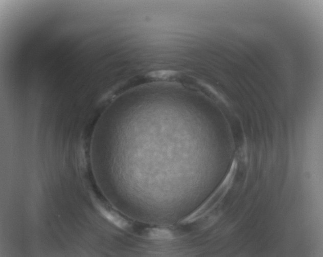 X0000083040572200702091412