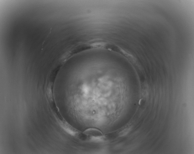 X0000083040573200702091412