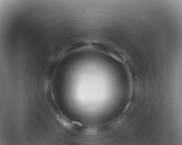 X0000083040574200702091412