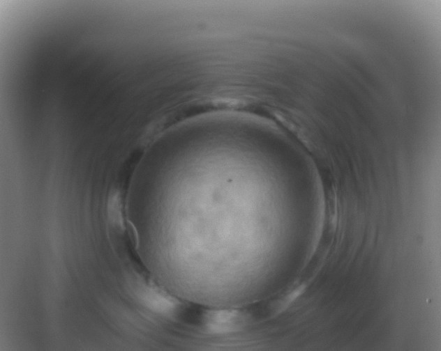 X0000083040575200702091412