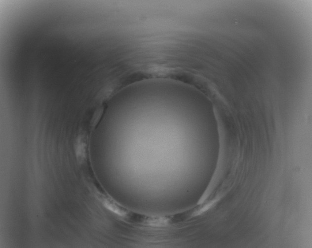 X0000083040576200702091412