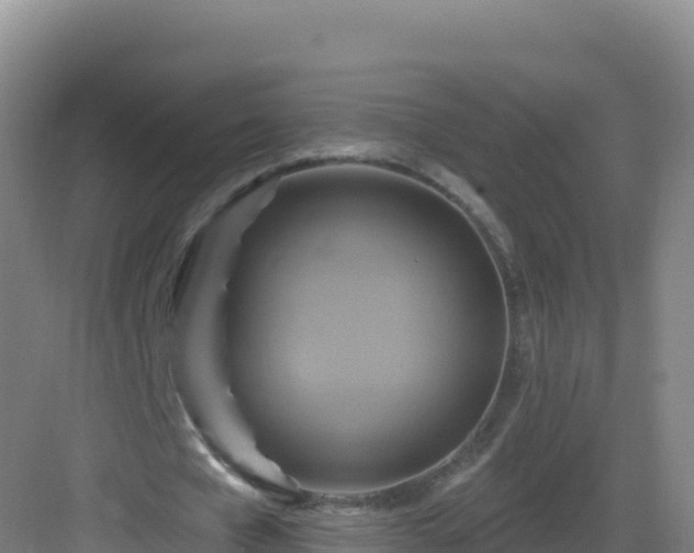 X0000083040577200702091411