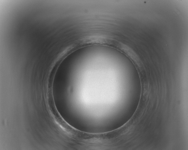 X0000083040578200702091411