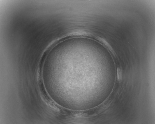 X0000083040579200702091411