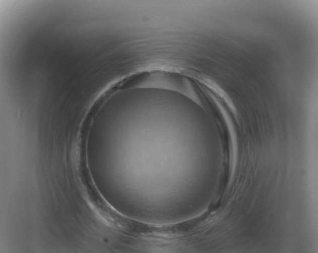 X0000083040580200702091411