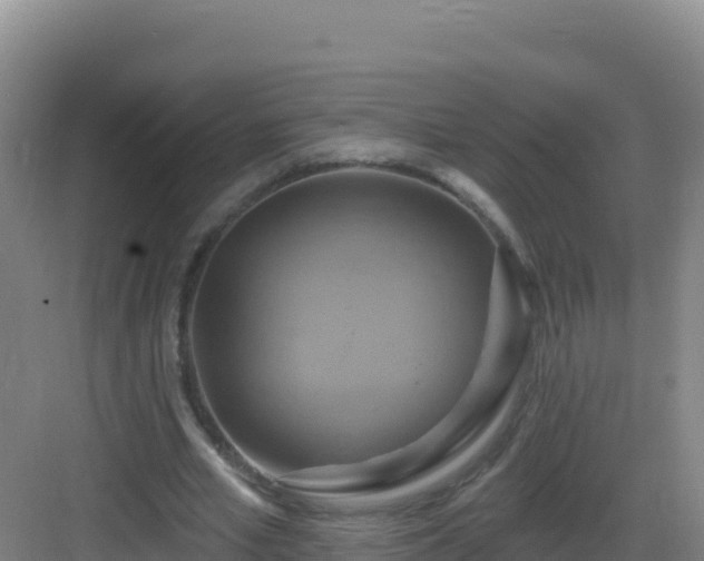 X0000083040581200702091411