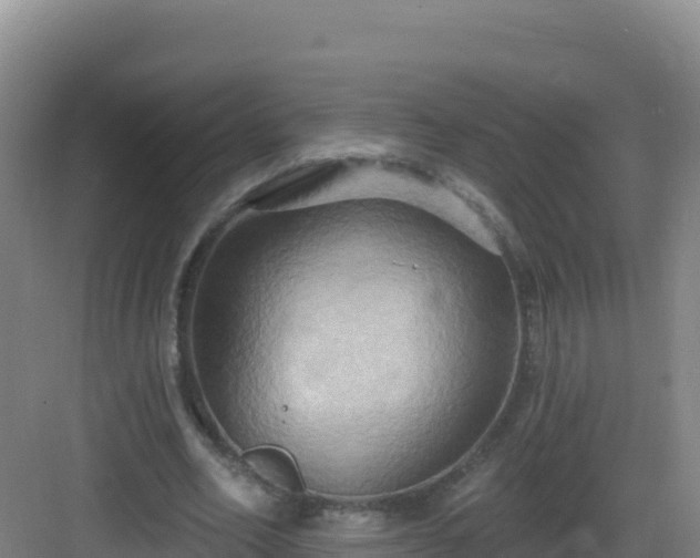 X0000083040582200702091411