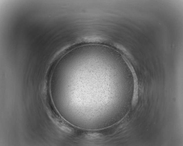 X0000083040583200702091411