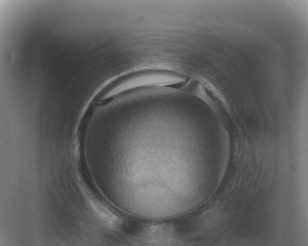 X0000083040584200702091411