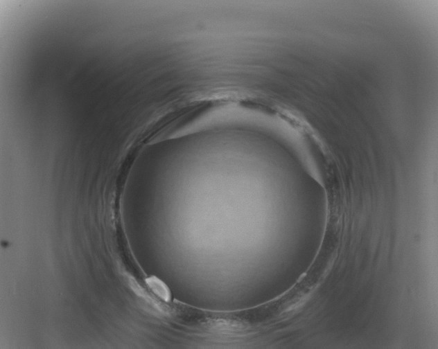 X0000083040585200702091411