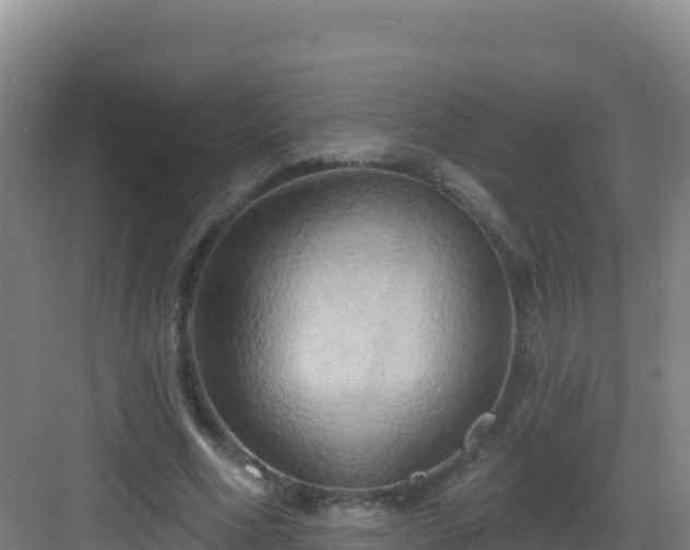 X0000083040586200702091411