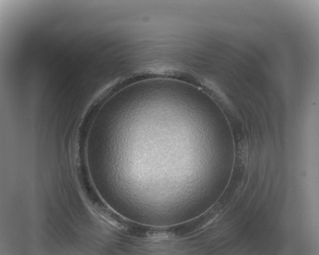 X0000083040587200702091411