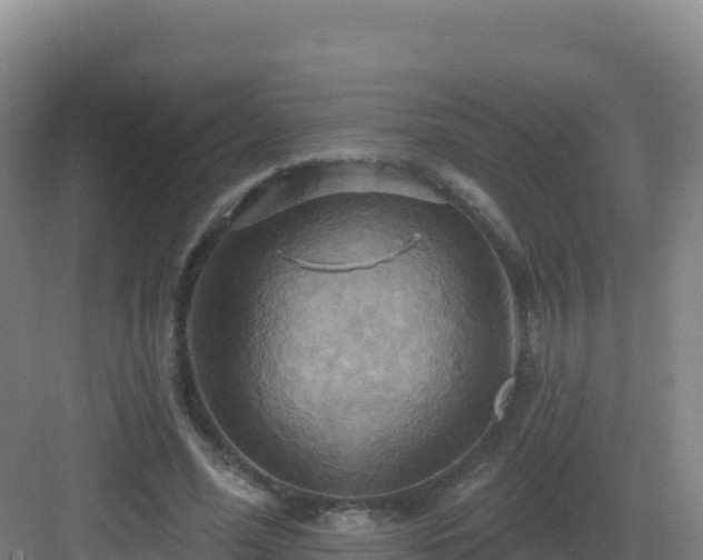 X0000083040588200702091411