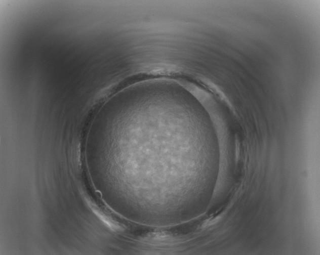 X0000083040589200702091411