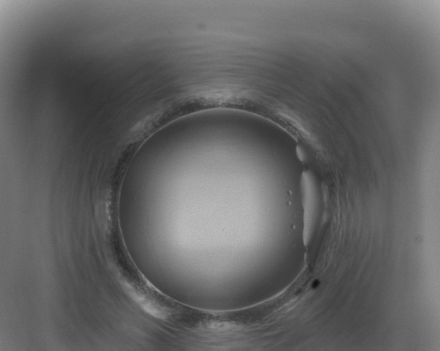 X0000083040590200702091411