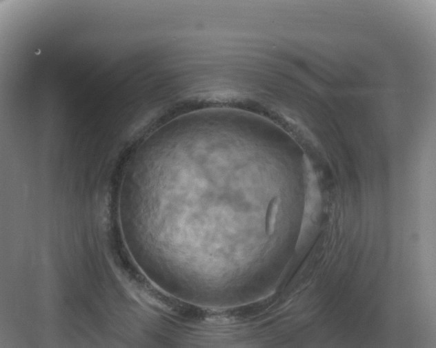 X0000083040591200702091411