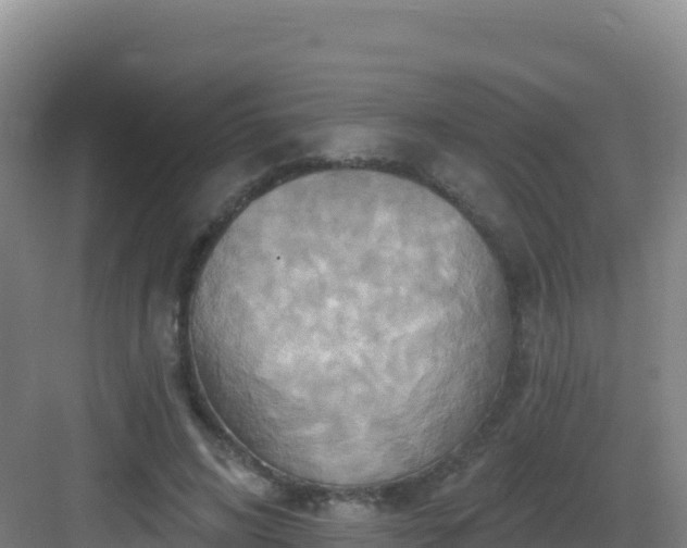 X0000083040592200702091411