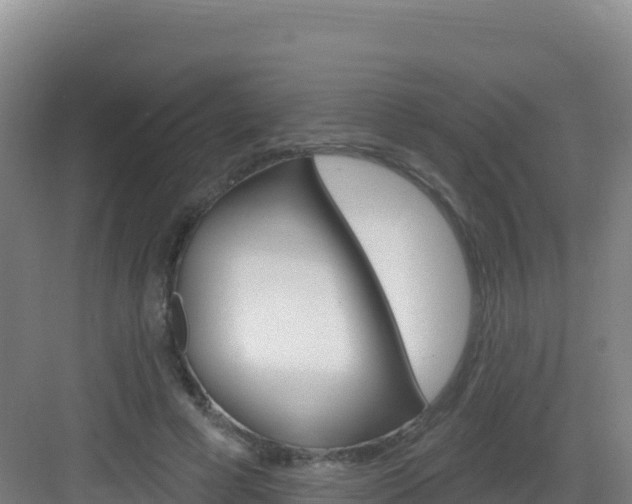 X0000083040593200702091411