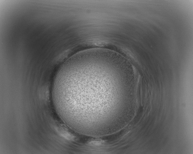 X0000083040595200702091411