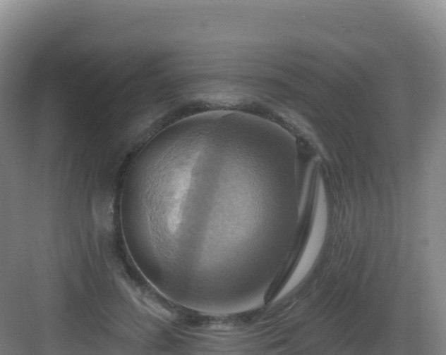 X0000083040596200702091411