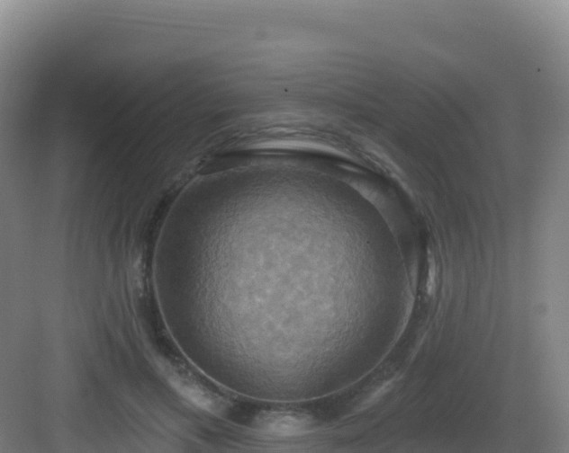 X0000083040597200702091411