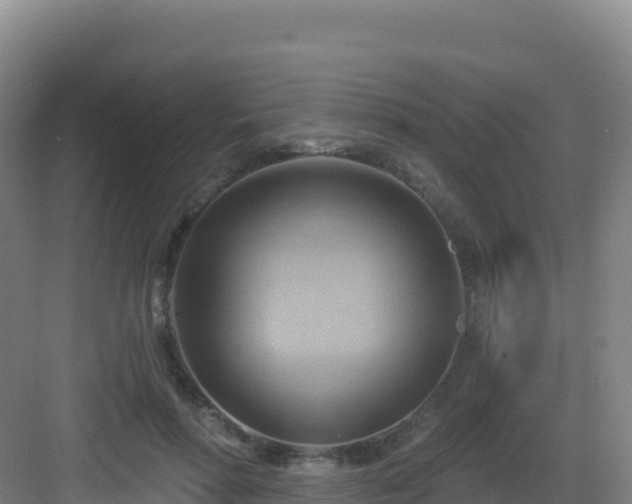 X0000083040598200702091411