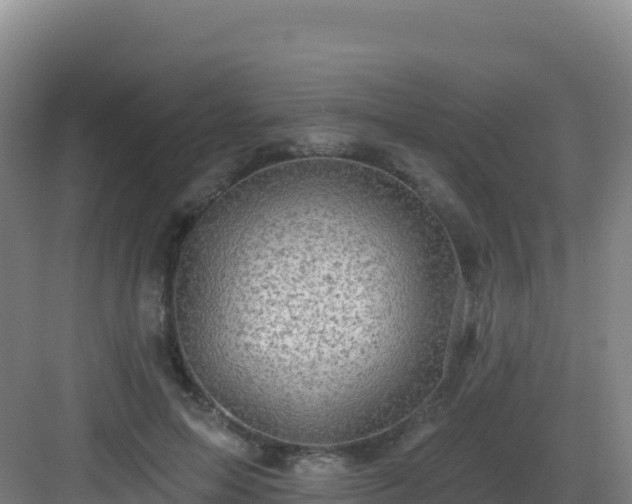 X0000083040599200702091411