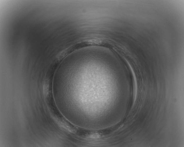 X0000083040600200702091411