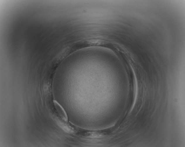 X0000083040601200702091411