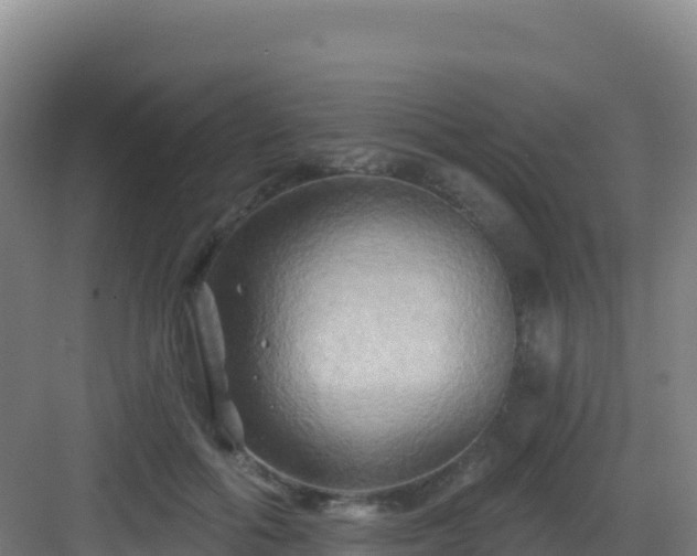 X0000083040602200702091411