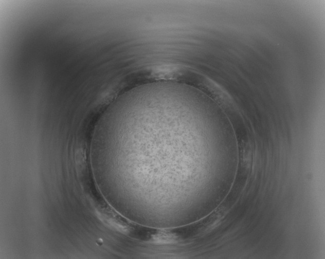 X0000083040603200702091411