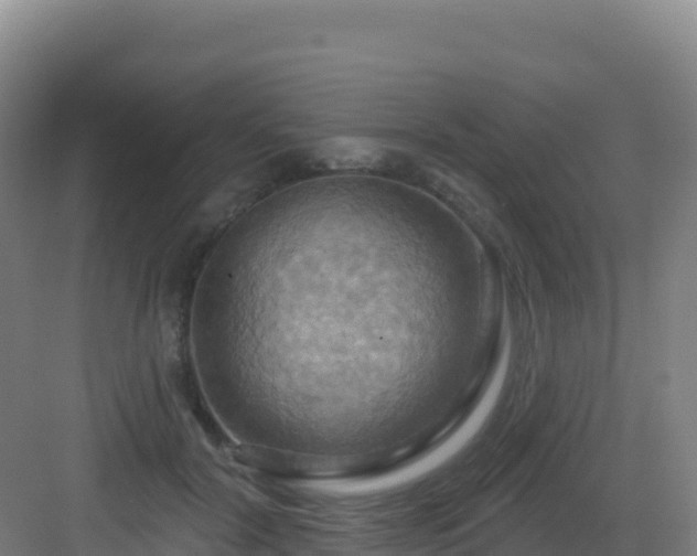 X0000083040604200702091411