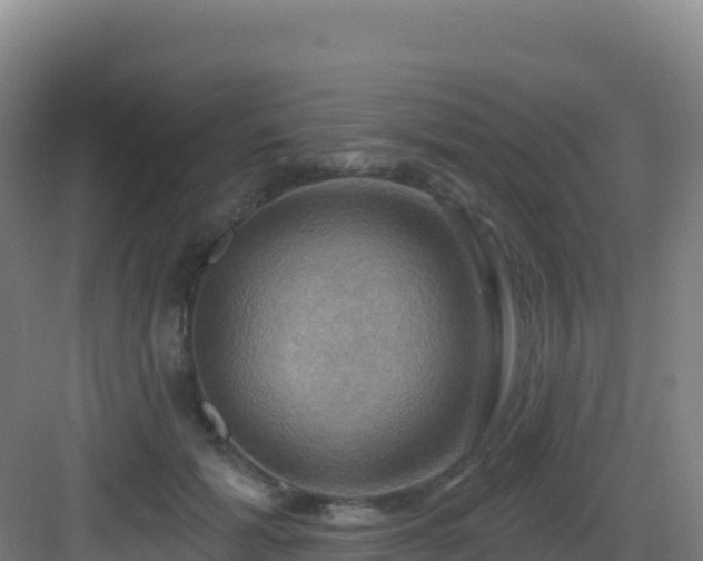 X0000083040605200702091411