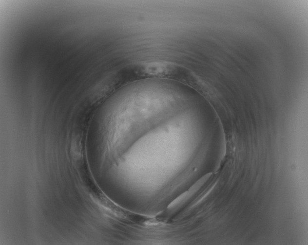 X0000083040606200702091411