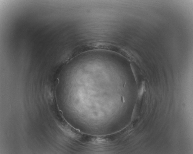 X0000083040607200702091411