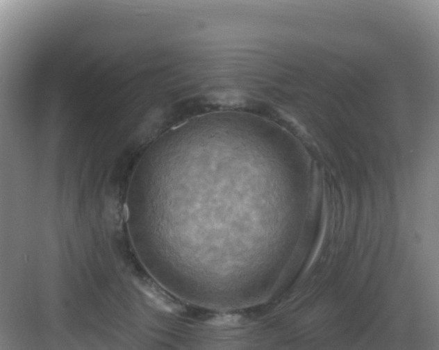 X0000083040609200702091411