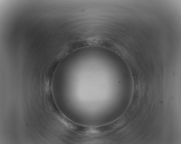 X0000083040610200702091411