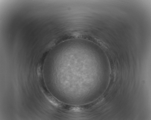 X0000083040611200702091411