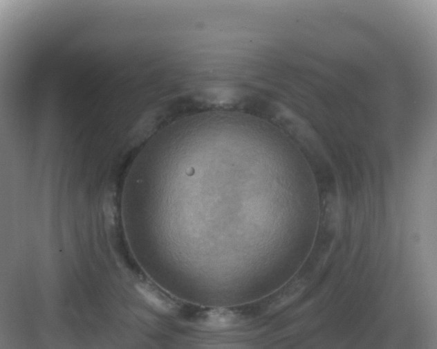 X0000083040612200702091411